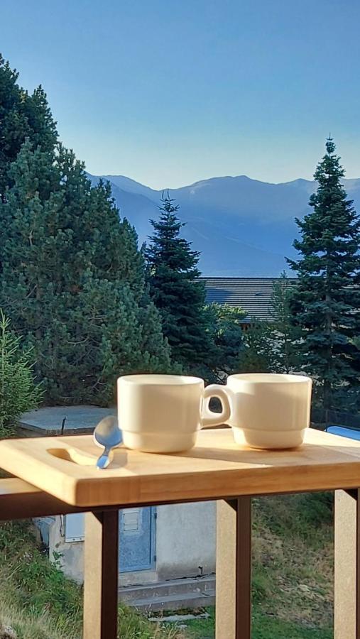 Residence Orazur - Appartement De Charme - 2 Chambres - Poele A Bois - 2 Balcons - Jardin - Parking - Internet - Linge Et Menage En Options Payantes Font-Romeu-Odeillo-Via Eksteriør billede