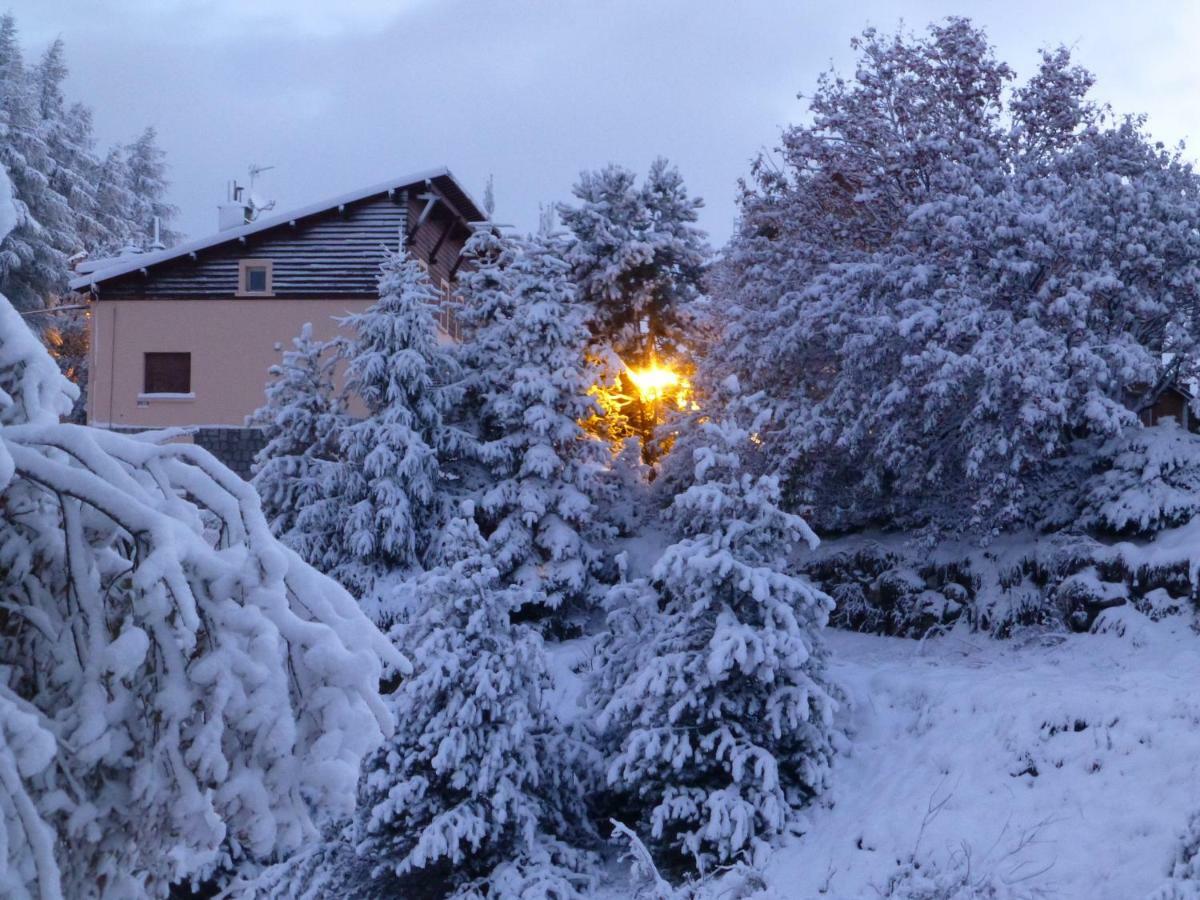 Residence Orazur - Appartement De Charme - 2 Chambres - Poele A Bois - 2 Balcons - Jardin - Parking - Internet - Linge Et Menage En Options Payantes Font-Romeu-Odeillo-Via Eksteriør billede